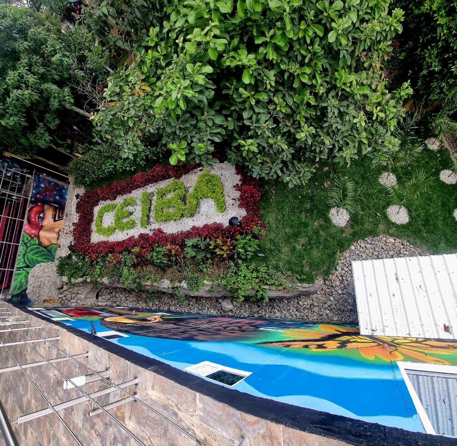 Ayenda Ceiba Rooms Pereira Exterior photo